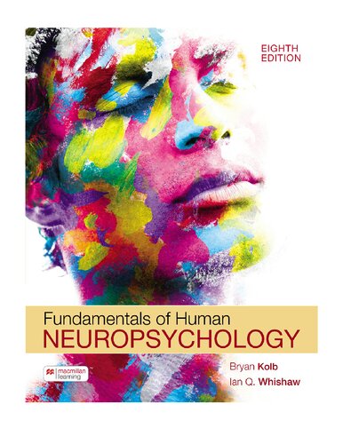 fundamentals of human neuropsychology