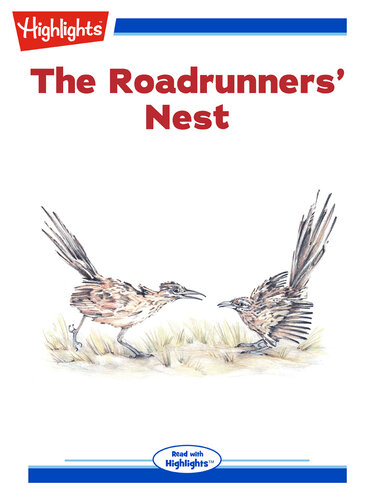 The Roadrunners' Nest