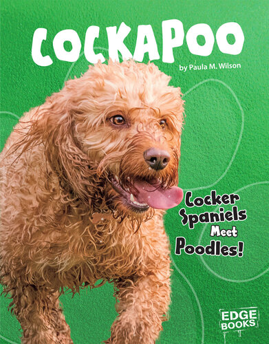 Cockapoo: Cocker Spaniels Meet Poodles!