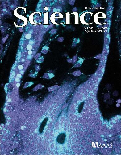 Science (Vol. 306, No. 5699, November 2004)