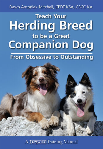Teach Your Herding Breed To Be a Great Companion Dog: From Obsessive To Outstanding