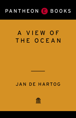 A View of the Ocean