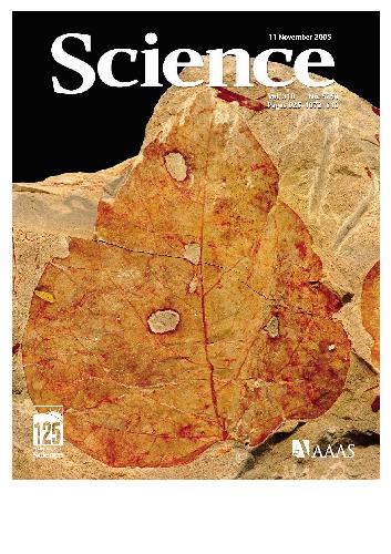 Science (Vol. 310, No. 5750, November 2005)