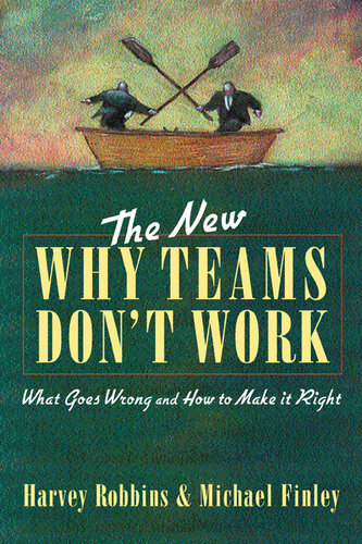 The New Why Teams Don't Work: What Went Wrong and How to Make It Right