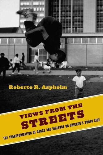 Views from the Streets (Studies in Transgression)
