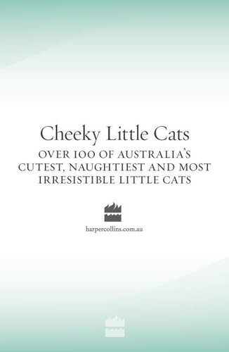Cheeky Little Cats