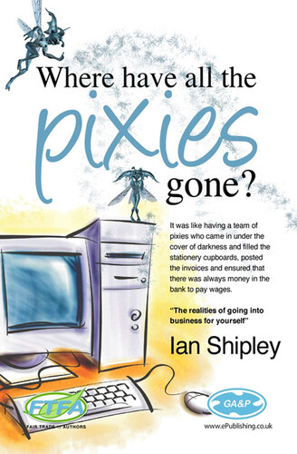 Where Have All the Pixies Gone?: Things to Think about Before Setting Up in Business on Your Own