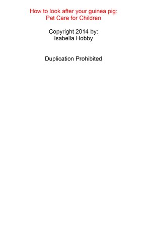 How to look after your Guinea Pig: Pet Care for Children