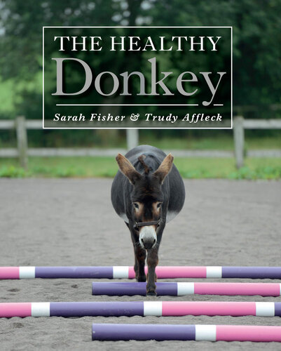 Healthy Donkey