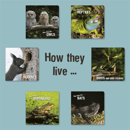 How they live: Learn All There Is to Know About Animals!