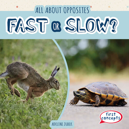 Fast or Slow?