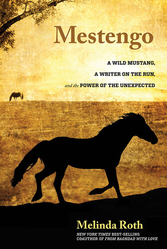 Mestengo: A Wild Mustang, a Writer on the Run, and the Power of the Unexpected