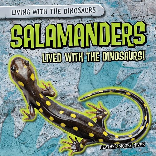 Salamanders Lived with the Dinosaurs!