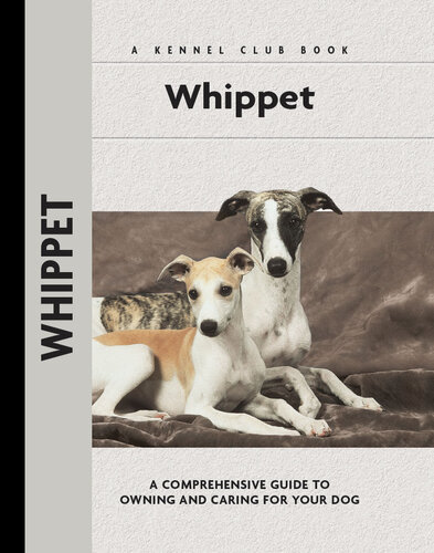 Whippet