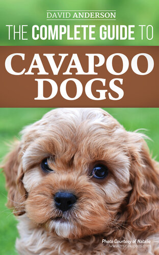 The Complete Guide to Cavapoo Dogs: Everything you need to know to sucessfully raise and train your new Cavapoo puppy
