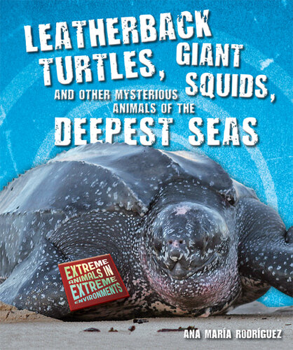 Leatherback Turtles, Giant Squids, and Other Mysterious Animals of the Deepest Seas