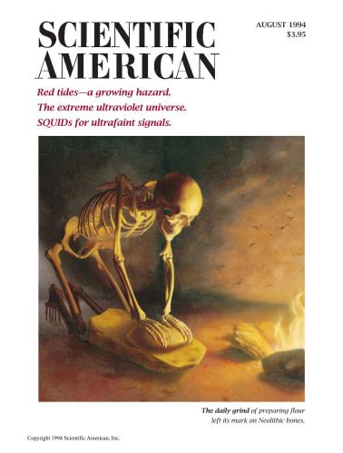 Scientific American (August 1994)