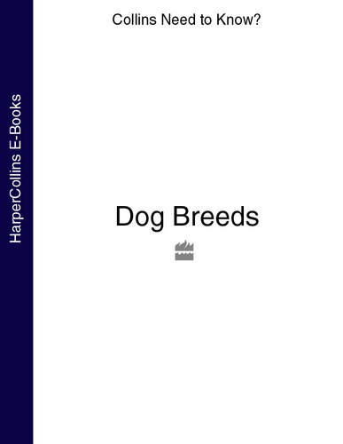Dog Breeds