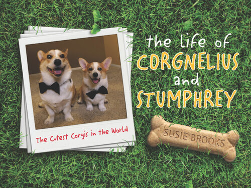 The Life of Corgnelius and Stumphrey: The Cutest Corgis in the World