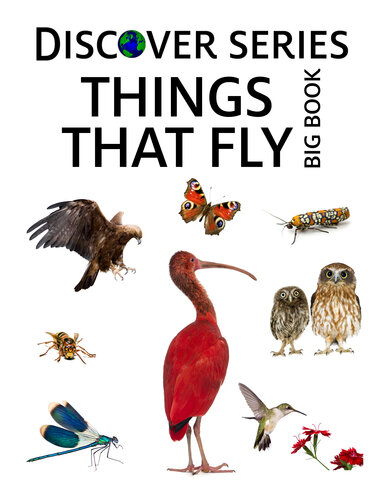 Things that Fly Big Book