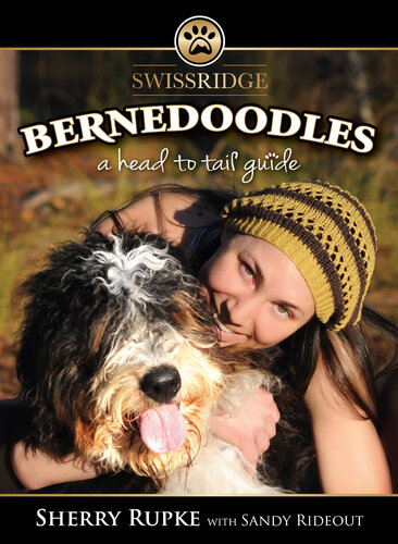 Bernedoodles: A Head to Tail Guide