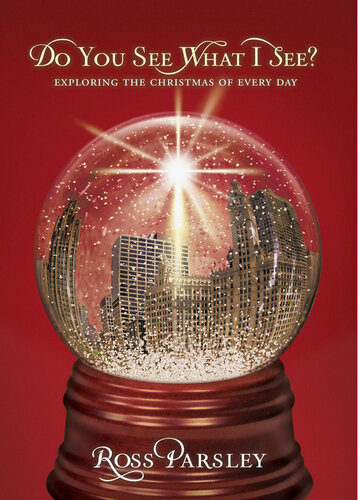 Do You See What I See?: Exploring the Christmas of Every Day
