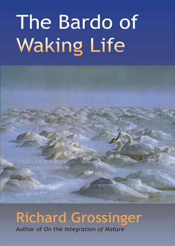 The Bardo of Waking Life