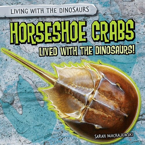 Horseshoe Crabs Lived with the Dinosaurs!