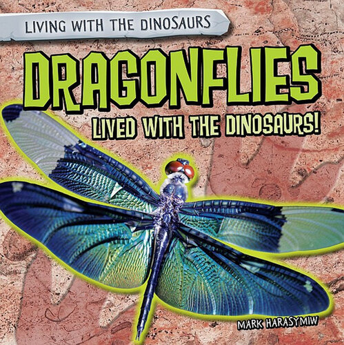 Dragonflies Lived with the Dinosaurs!