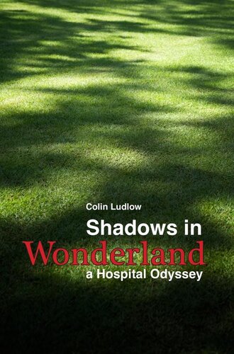 Shadows in Wonderland: a hospital odyssey