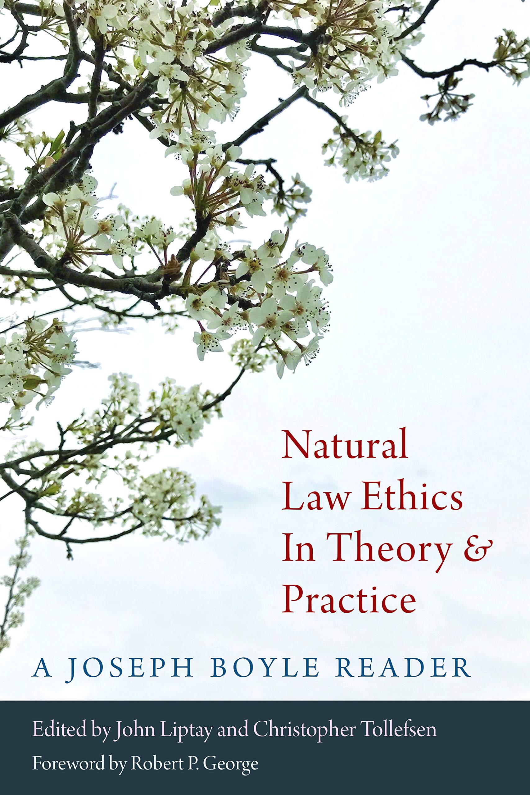 Natural Law Ethics in Theory and Practic : A Joseph Boyle Reader