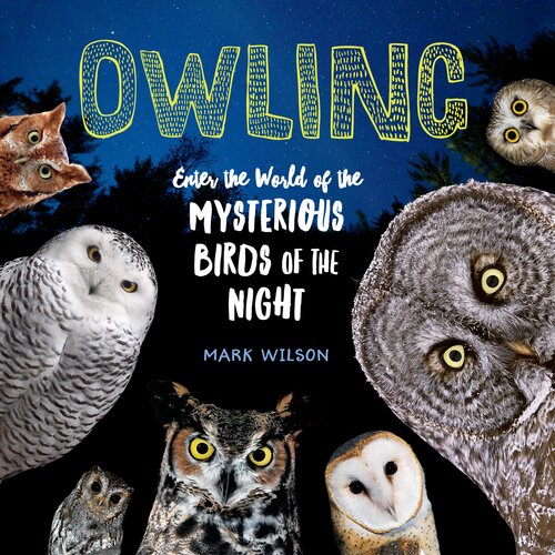 Owling: Enter the World of the Mysterious Birds of the Night