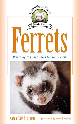 Ferrets: Providing the Best Home for Your Ferret