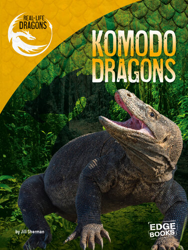 Komodo Dragons
