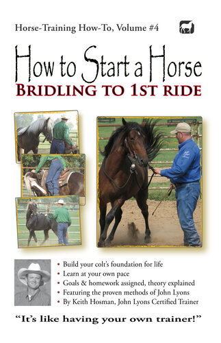 How to Start a Horse