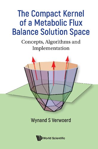 The Compact Kernel of a Metabolic Flux Balance Solution Space. Concepts, Algorithms and Implementation