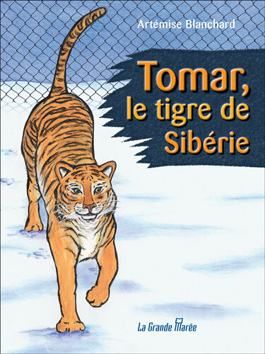 Tomar, le tigre de Sibérie