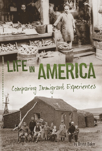 Life in America: Comparing Immigrant Experiences