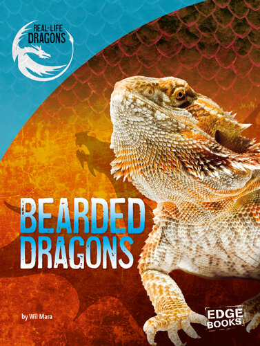 Bearded Dragons