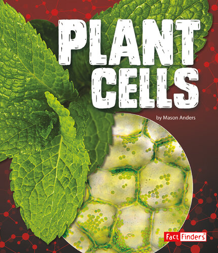 Plant Cells