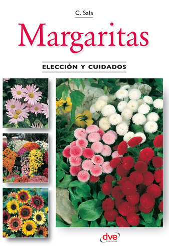 Margaritas--Elección y cuidados