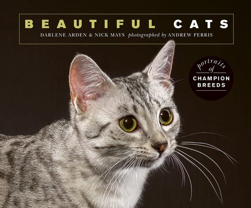 Beautiful Cats: Portraits of champion breeds