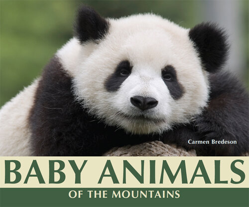 Baby Animals of the Mountains