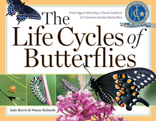 The Life Cycles of Butterflies: From Egg to Maturity, a Visual Guide to 23 Common Garden Butterflies