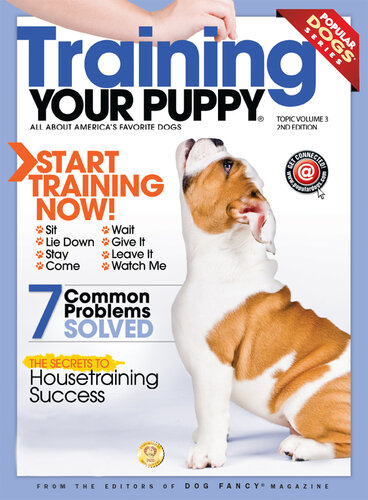 Training your Puppy