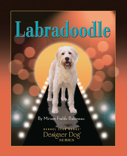 Labradoodle