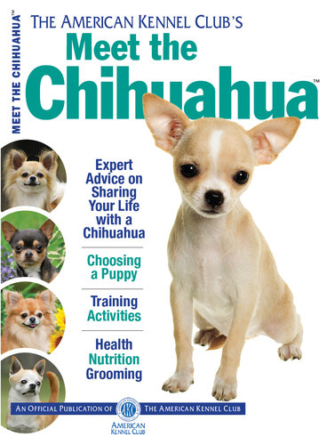 Meet the Chihuahua