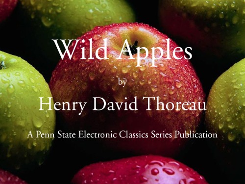 Wild Apples