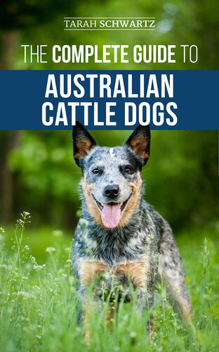 The Complete Guide to Australian Cattle Dogs