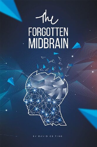 The Forgotten Midbrain